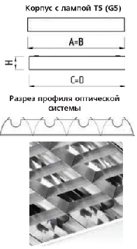 �������. �����